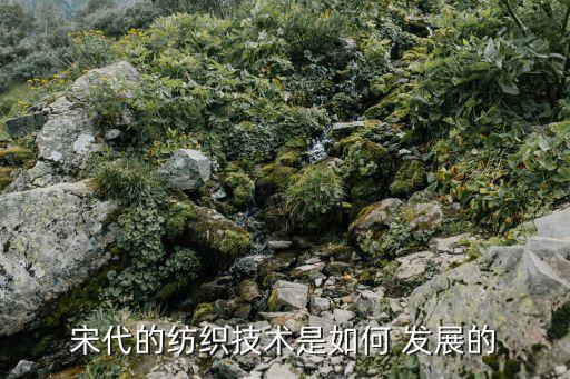 紡織品發(fā)展階段,新型紡織品的發(fā)展與應(yīng)用