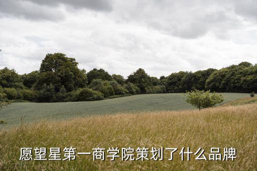 愿望星第一商學院策劃了什么品牌
