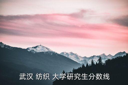  武漢 紡織 大學研究生分數線