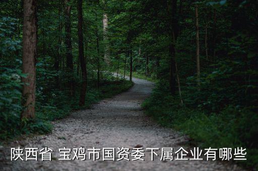 陜西省 寶雞市國(guó)資委下屬企業(yè)有哪些