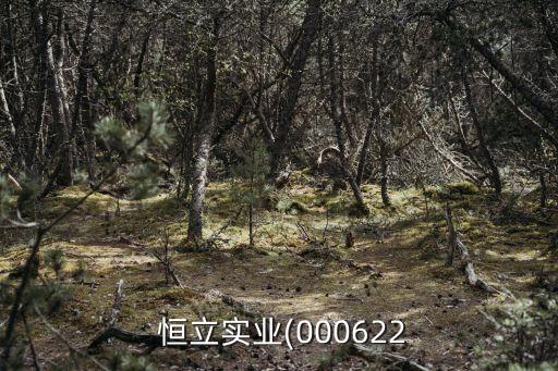安陽市恒立紡織有限公司,浙江恒立紡織有限公司股東變