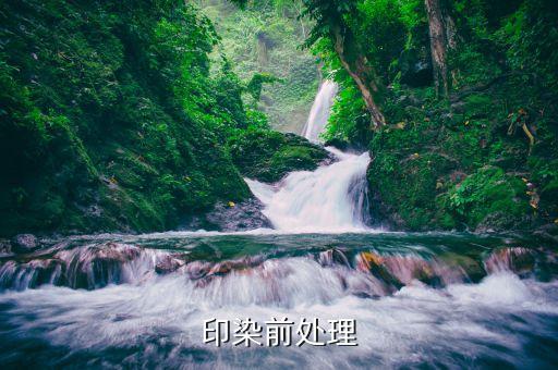 印染前處理