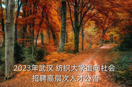 2023年武漢 紡織大學面向社會 招聘高層次人才公告
