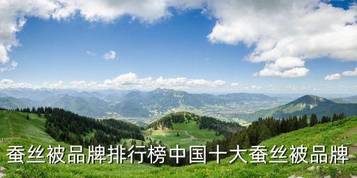 江蘇省紡織企業(yè)排名,中國紡織企業(yè)500強(qiáng)排名