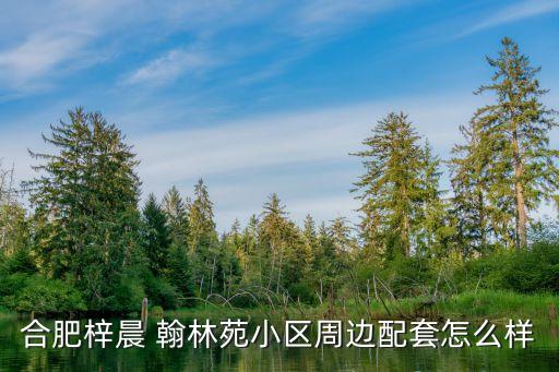 合肥梓晨 翰林苑小區(qū)周邊配套怎么樣