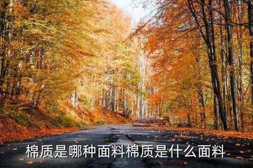 長沙中棉紡織