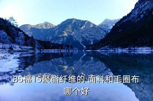 85棉15聚酯纖維的 面料和毛圈布哪個好