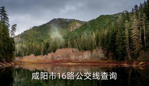 沈陽(yáng)紡織器材廠,三門(mén)峽紡織器材廠