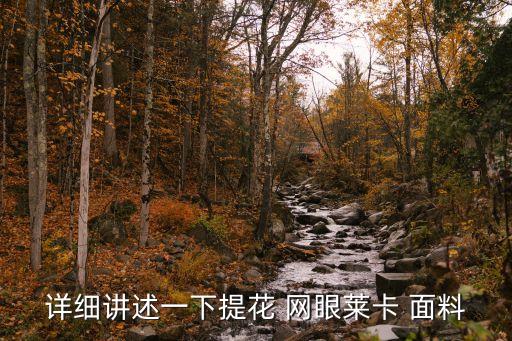 詳細講述一下提花 網(wǎng)眼萊卡 面料
