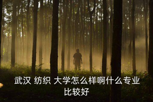  武漢 紡織 大學(xué)怎么樣啊什么專業(yè)比較好
