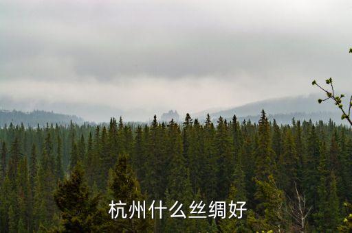  杭州什么絲綢好