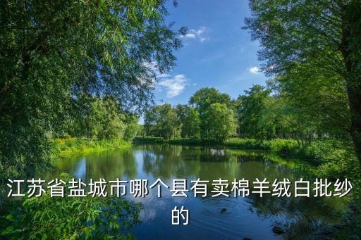 江蘇省鹽城市哪個(gè)縣有賣(mài)棉羊絨白批紗的