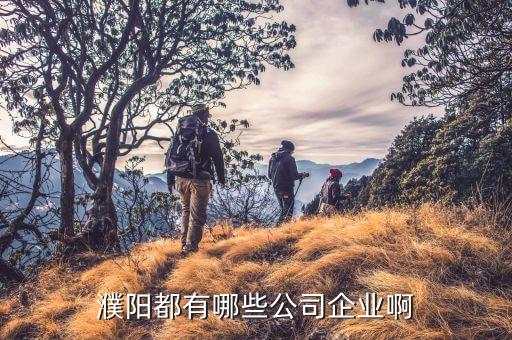 河南宏業(yè)紡織有限公司,清河縣宏業(yè)紡織有限公司