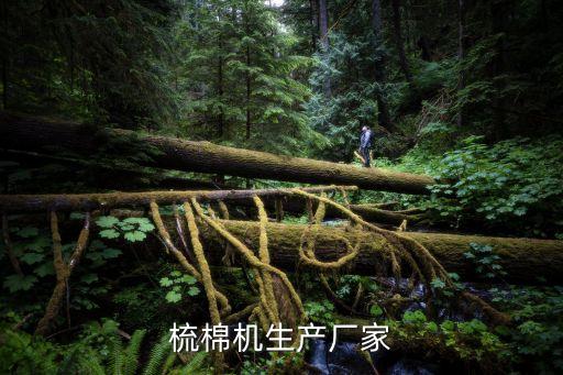 棉紡織機(jī),紡紗機(jī)是誰(shuí)發(fā)明的