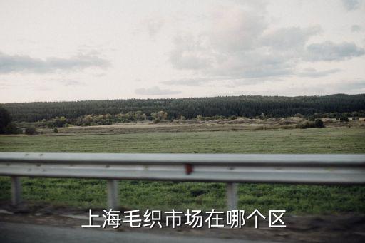  上海毛織市場在哪個區(qū)