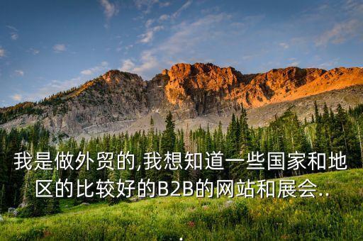 我是做外貿(mào)的,我想知道一些國家和地區(qū)的比較好的B2B的網(wǎng)站和展會(huì)...