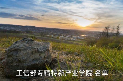  工信部專精特新產(chǎn)業(yè)學(xué)院 名單