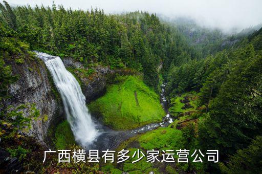 廣西橫縣有多少家運(yùn)營公司