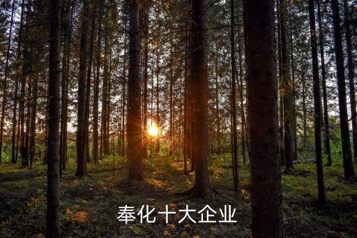 奉化十大企業(yè)