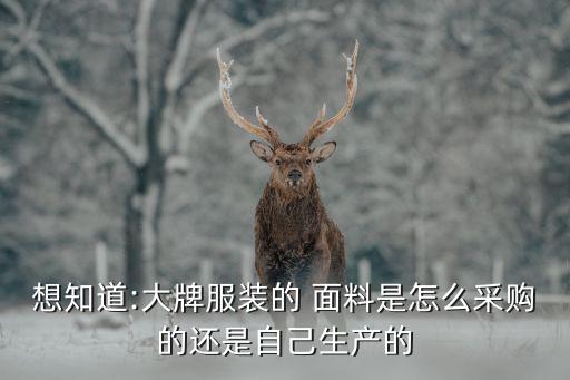 想知道:大牌服裝的 面料是怎么采購(gòu)的還是自己生產(chǎn)的