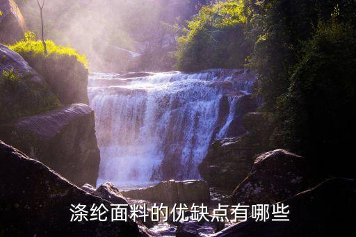 滌綸紡織品