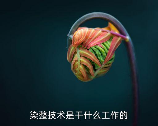紡織針織染色工
