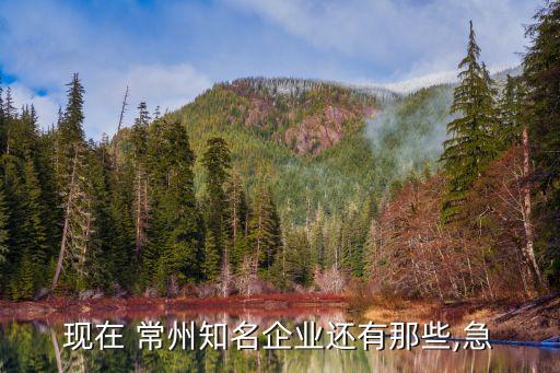常州天益紡織機(jī)械有限公司,立達(dá)紡織機(jī)械(常州)有限公司招聘