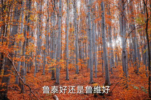  魯泰好還是魯維好