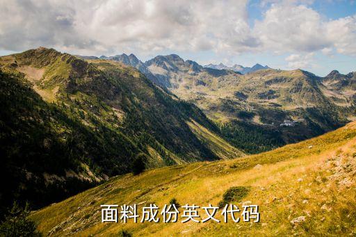 pe面料縮寫,pe是什么意思的縮寫