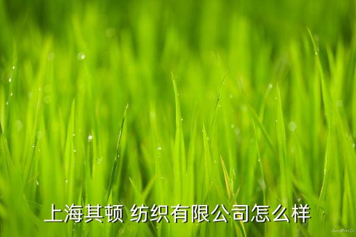 上海其頓 紡織有限公司怎么樣
