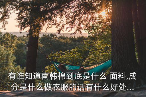 有誰知道南韓棉到底是什么 面料,成分是什么做衣服的話有什么好處...