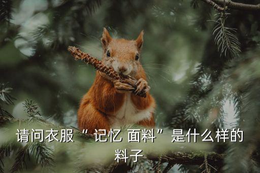 請(qǐng)問(wèn)衣服“ 記憶 面料”是什么樣的料子