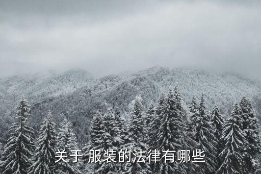 關于 服裝的法律有哪些