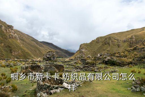  桐鄉(xiāng)市新卡卡 紡織品有限公司怎么樣