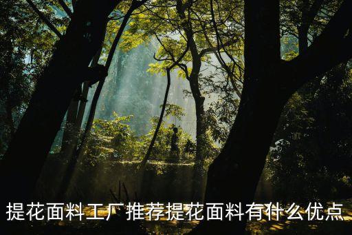 提花面料工廠推薦提花面料有什么優(yōu)點(diǎn)