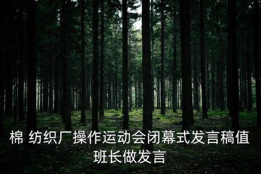 山東紡織2016年的總結