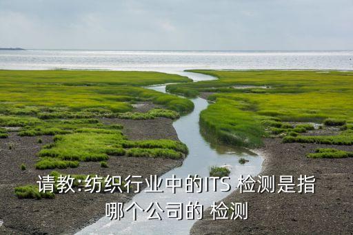 請教:紡織行業(yè)中的ITS 檢測是指哪個公司的 檢測