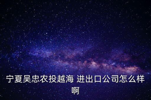 寧夏吳忠農(nóng)投越海 進出口公司怎么樣啊