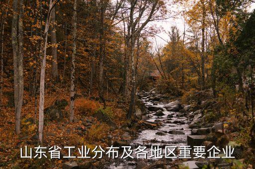 山東省工業(yè)分布及各地區(qū)重要企業(yè)