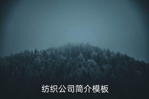  紡織公司簡(jiǎn)介模板