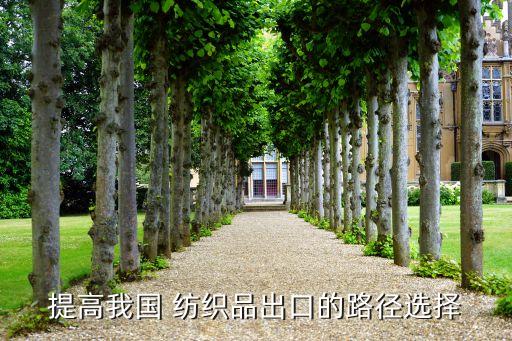提高我國 紡織品出口的路徑選擇