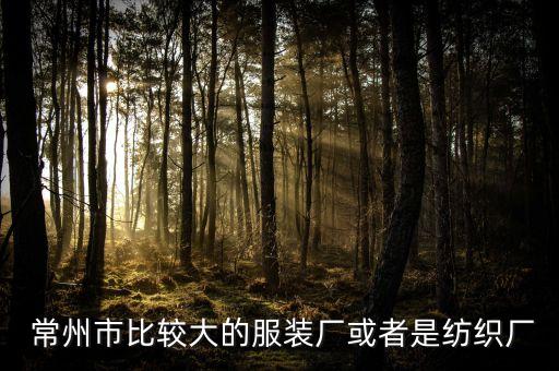  常州市比較大的服裝廠或者是紡織廠