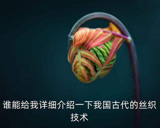 紡織文版圖
