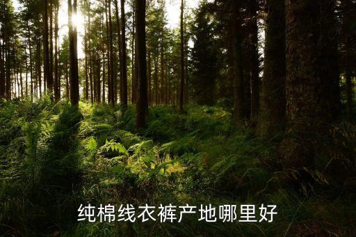 棉布面料的生產(chǎn)基地在那,山東最大棉布生產(chǎn)基地