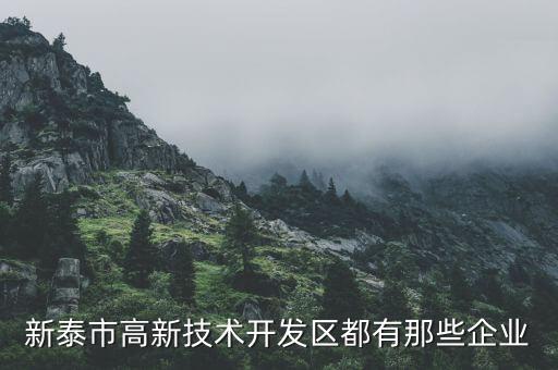 新泰市高新技術(shù)開發(fā)區(qū)都有那些企業(yè)