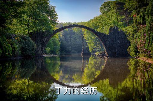 丁力的經(jīng)歷