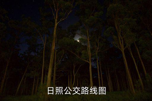 日照公交路線圖