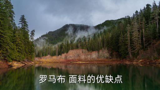  羅馬布 面料的優(yōu)缺點(diǎn)