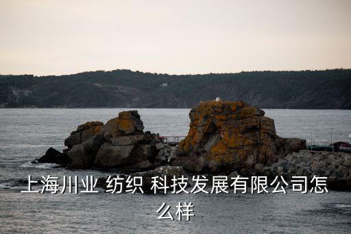 上海川業(yè) 紡織 科技發(fā)展有限公司怎么樣