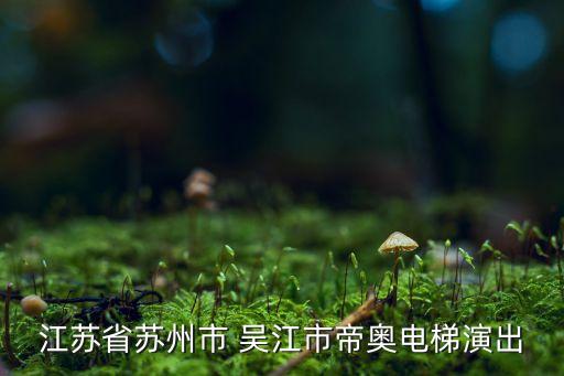 江蘇省蘇州市 吳江市帝奧電梯演出
